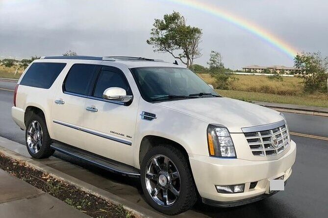 Private Transfer from Charleston Port to Charleston Airport (CHS) - Who Is This Best For?