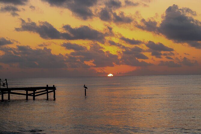 Private Transfer From Chiquila to Playa del Carmen, English Speaking Driver - Final Thoughts