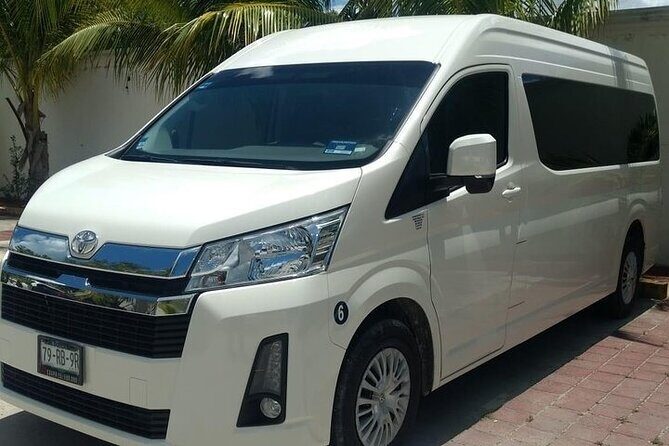 Private Transfer from Cozumel Airport - Who Is This Transfer Best For?