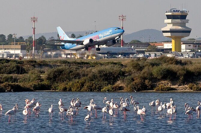 Private Transfer from Faro Airport to Albufeira - Key Points