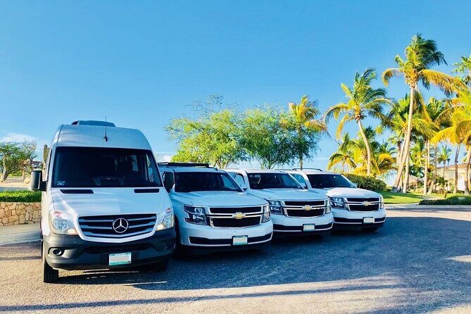 Private Transfer from Honolulu / Waikiki hotels to Honolulu Port - The Pickup Point and Logistics