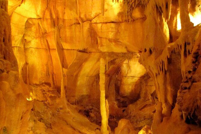 Private Transfer from Lisbon to Porto with Sightseeing Tour - The Experience in Detail