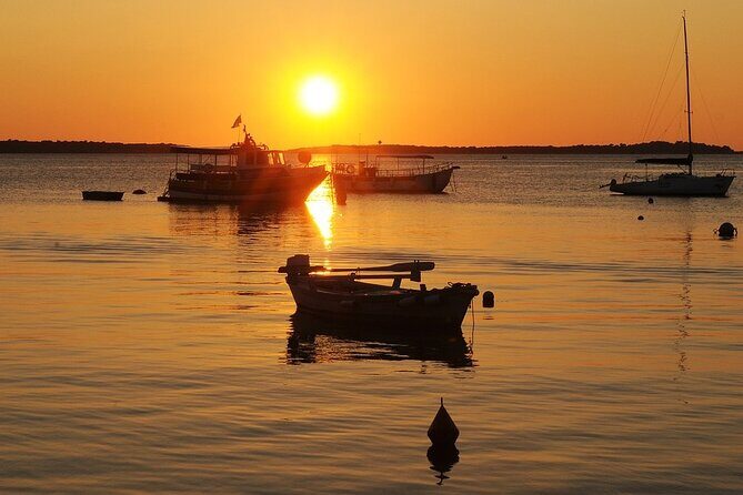 Private Transfer from Makarska to Dubrovnik with 2h Sightseeing, local driver - Price and Value