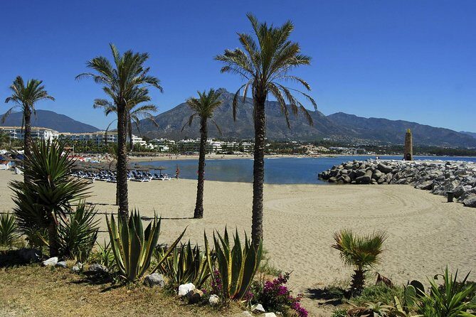 Private Transfer from Malaga airport (AGP) to Fuengirola - What to Expect from This Malaga to Fuengirola Transfer