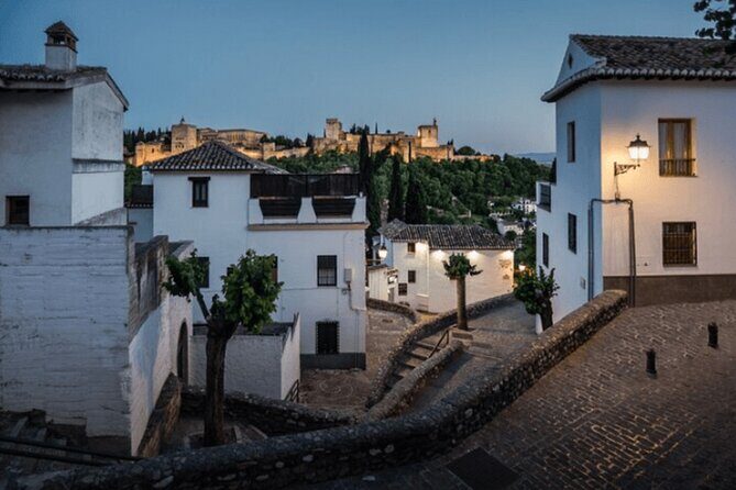 Private transfer from Málaga Hotels to Granada - What Makes It Stand Out