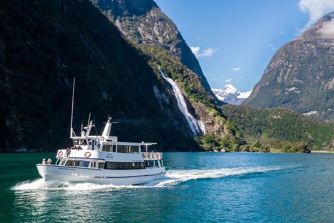 Private Transfer from Milford Port to Queenstown Airport (ZQN) - The Value of This Service