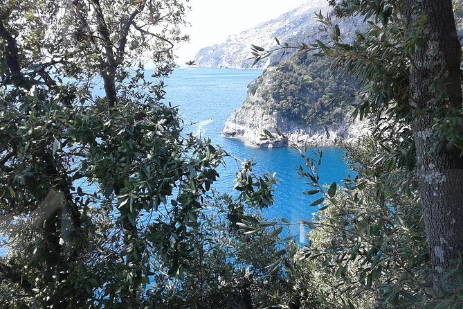 Private Transfer From Naples to Ravello/Sorrento stop at Pompeii - A Detailed Look at the Transfer Experience