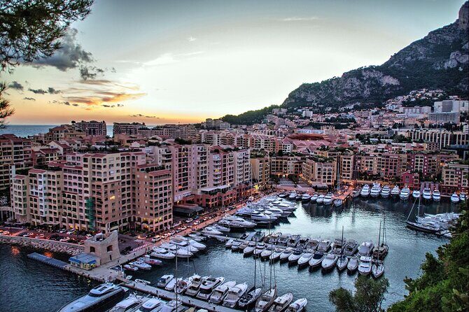 Private transfer from Nice to Marseille, 4 hour Stop in Cannes - A Closer Look at the Experience