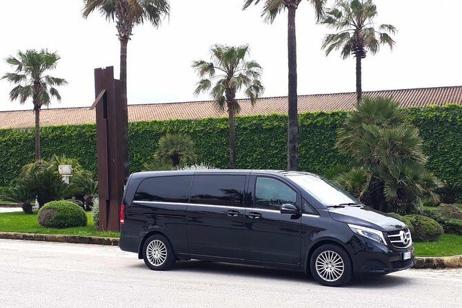 Private Transfer from Palermo Airport to Your Hotel in Cefalu - Introducing the Private Transfer from Palermo Airport to Cefalù