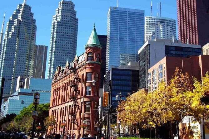 Private Transfer from Pearson Airport YYZ to Toronto in Luxury Van - Who Is This Transfer Best For?