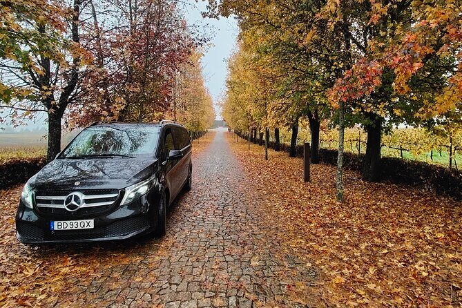Private Transfer from Porto to Lisbon - What the Experience Looks Like