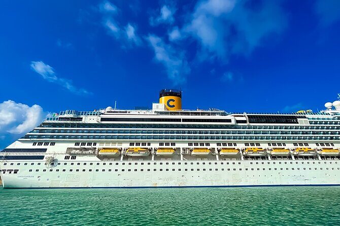 Private Transfer from Rome to Civitavecchia Cruise Port - Who Is This Transfer Best For?