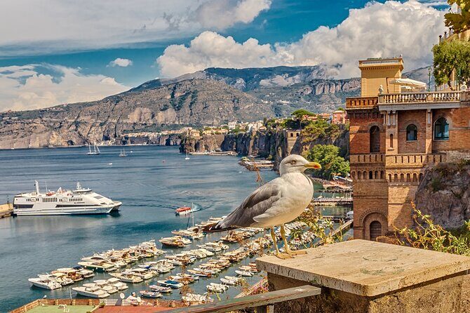 Private transfer from Rome to Sorrento - Who Should Consider This Transfer?