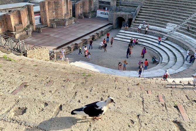 Private transfer from Rome to Sorrento with stop in Pompeii (2hours) - What to Expect During the Journey