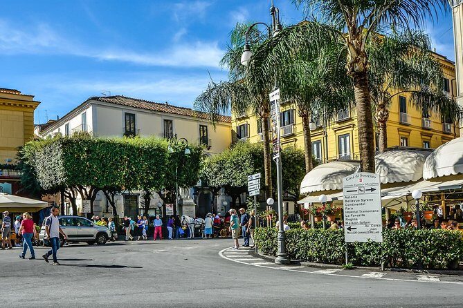 Private Transfer from Sorrento or Amalfi coast to Naples or vice versa - What to Expect from This Private Transfer Service