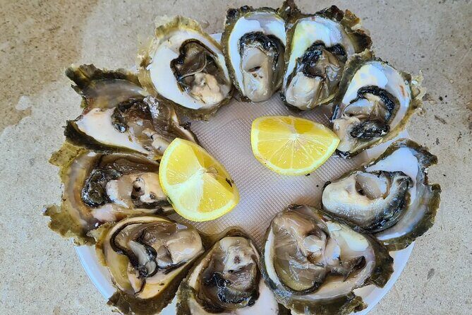 Private Transfer from Split to Dubrovnik via Ston City Walls - The Reviews: What Real Travelers Say