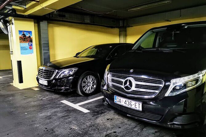 Private Transfer from Venice to Vienna or Vienna to Venice - Key Points