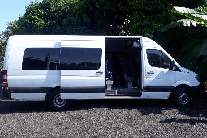 Private Transfer from Zihuatanejo Airport to Zihuatanejo - What about the reviews?