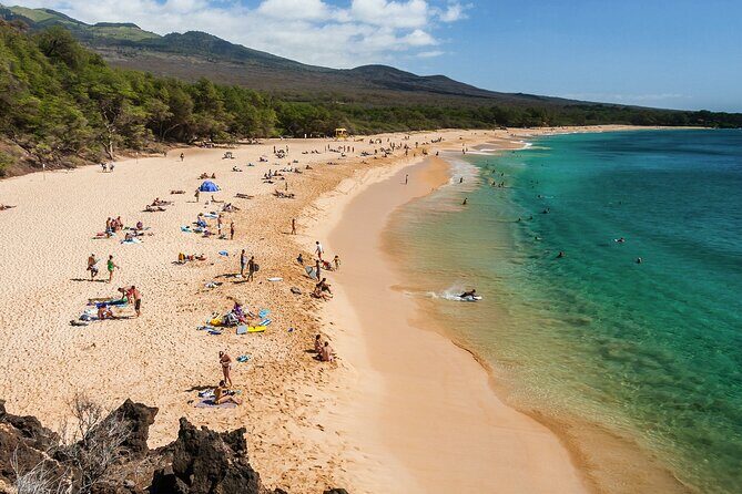 Private Transfer Kahului Airport OGG to Maui Kihei Lahaina Wailea - Who Is This Transfer Best For?