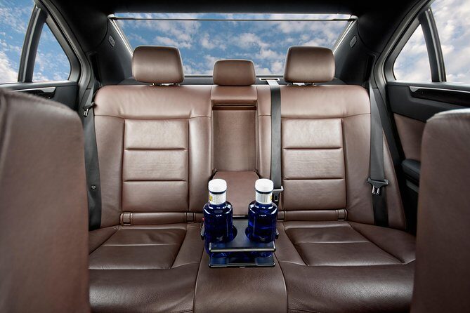 Private Transfer New Orleans MSY or Port to New Orleans by Sedan - What to Expect from the Private Transfer in New Orleans