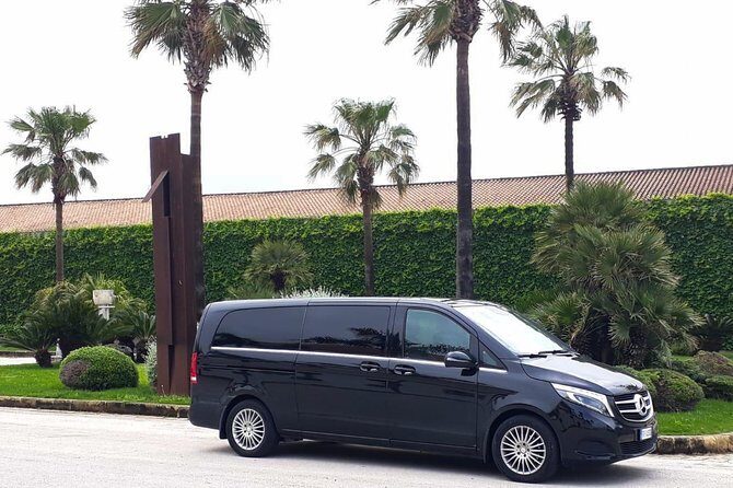 Private Transfer Palermo Airport  Trapani / Favignana - Key Points