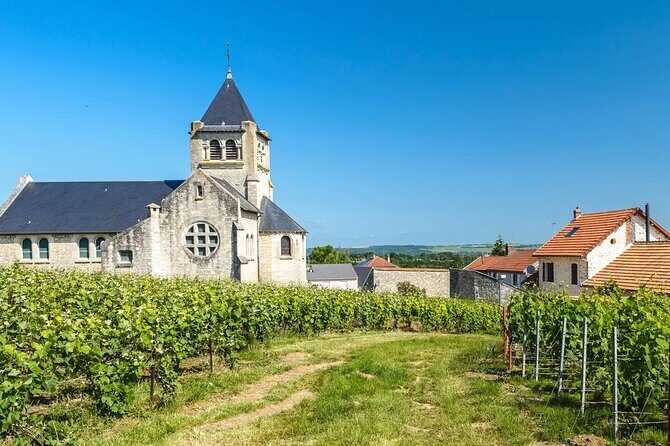 Private Transfer: Paris Airport CDG to Reims / Champagne by Van - The Experience in Action