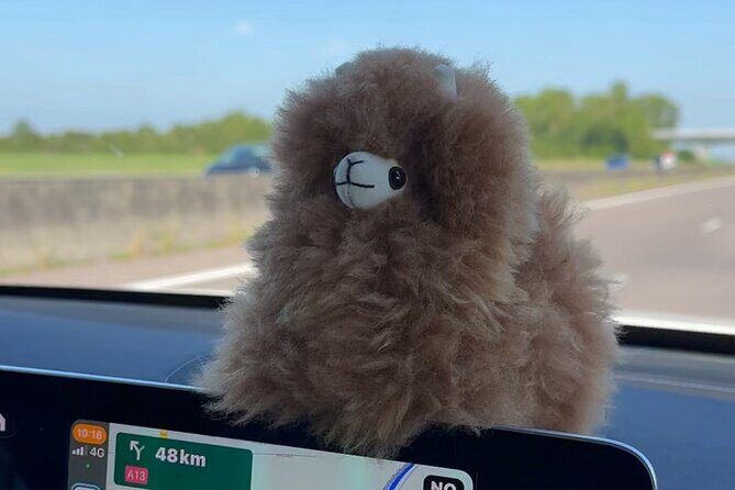 Private Transfer Paris from and to Airport (CDG, Orly, Beauvais) - Private Transfer Paris from and to Airport (CDG, Orly, Beauvais): A Practical Guide