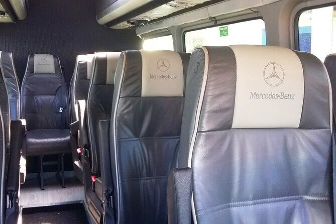 Private Transfer - Santorini Airport, Port & Hotel - Who Should Book This Service?