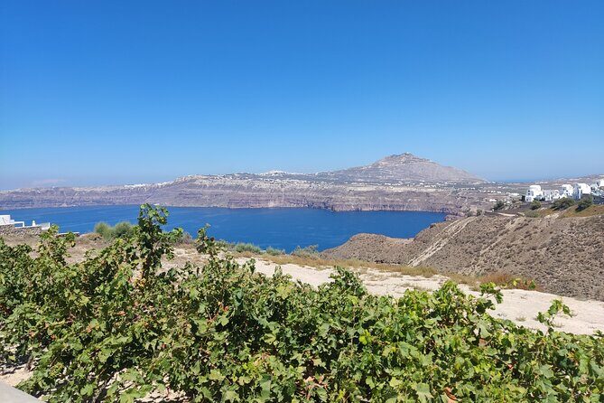 Private Transfer Santorini One-way From/To Airport, Port & Hotel - The Driver Experience: Why it Matters