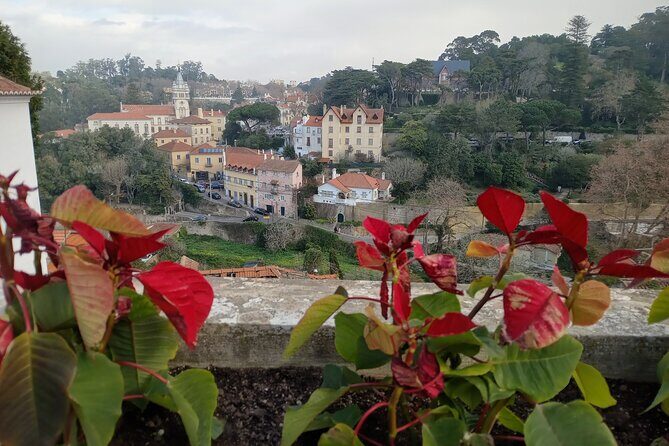 Private Transfer to Cascais or Sintra - Practical Details You Should Know