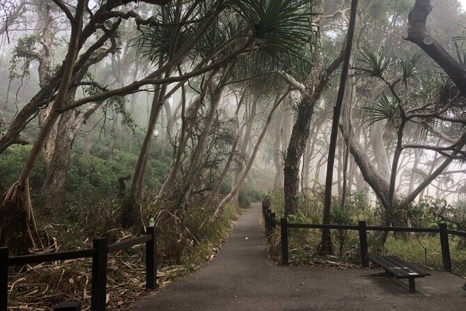 Private Transfer to or from Sunshine Coast Airport (MCY) - The Details of the Private Airport Transfer