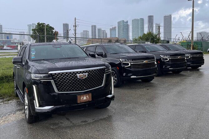 Private Transfer to Port Everglades and Fort Lauderdale Airport - Who Is This Service Best For?