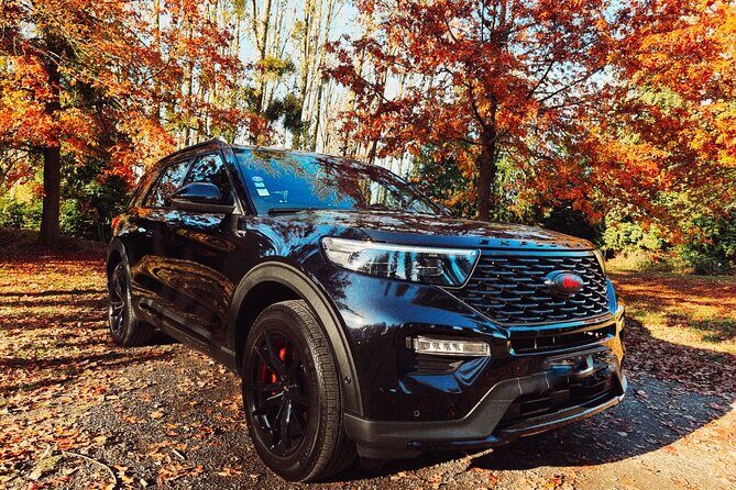 Private transfer to Reims or Epernay : one way OR 8 hours tour - The Experience in Detail