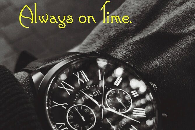 Private Transfer: Toronto Pearson Airport or Richmond Hill Black Car Service - The Vehicle and Driver Experience