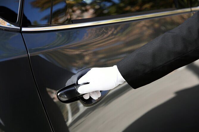 Private transfer Zurich to Interlaken (1-6 persons) - Why Choose This Private Transfer?