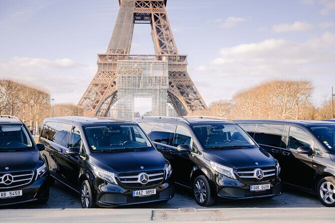 Private Transfers in Paris - Who Is This Service Best For?