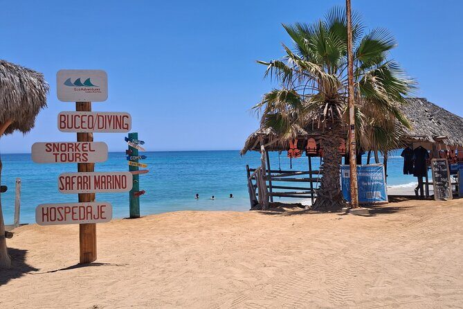 Private Transportation at VAN Airport Los Cabos - Cabo Pulmo Park - Key Points