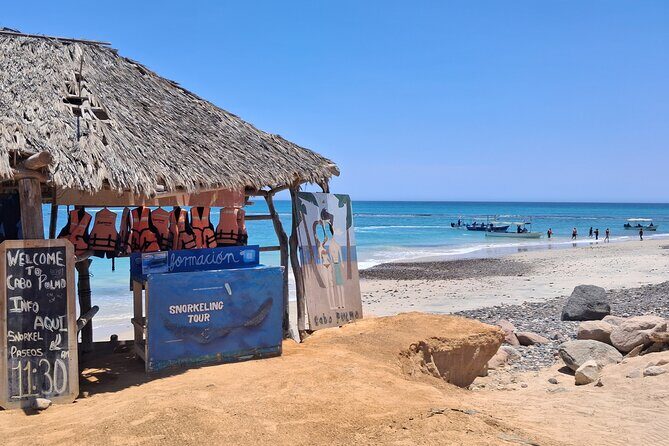 Private Transportation at VAN Airport Los Cabos - Cabo Pulmo Park - Why Choose This Private Transfer?