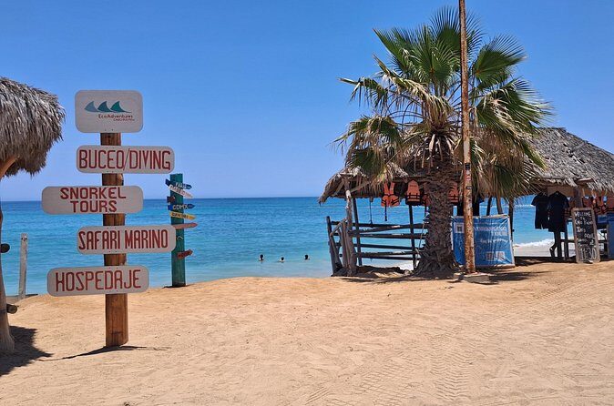 Private Transportation at VAN Airport Los Cabos - Cabo Pulmo Park - Who Is This Service Best For?