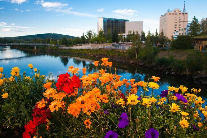 Private Transportation Between Fairbanks and Denali National Park - Why Consider Private Transportation?