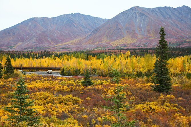 Private Transportation Between Fairbanks and Denali National Park - Handling the Weather