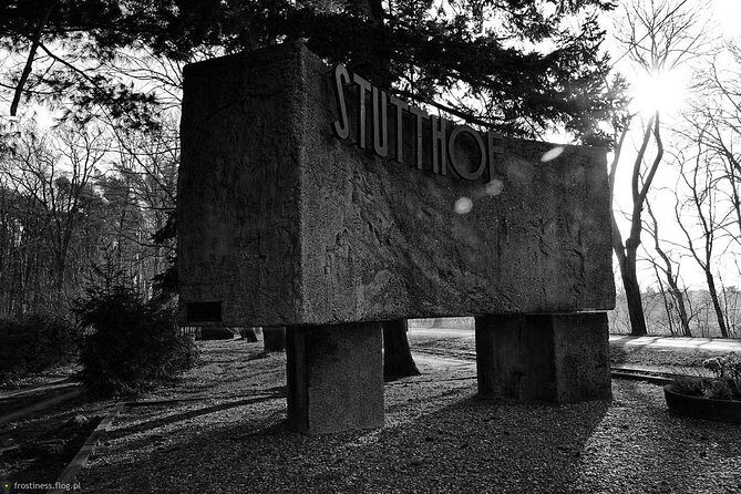 Private Transportation from Cruise Ship Port of Gdynia to Stutthof Camp 5-Hour - Detailed Breakdown of the Experience