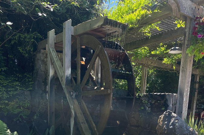 Private Transportation to Butchart Gardens - The Realistic View: Pros and Cons