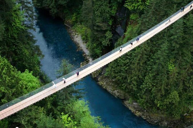 Private Transportation to Capilano Suspension Bridge Park - Who Should Consider This Tour?