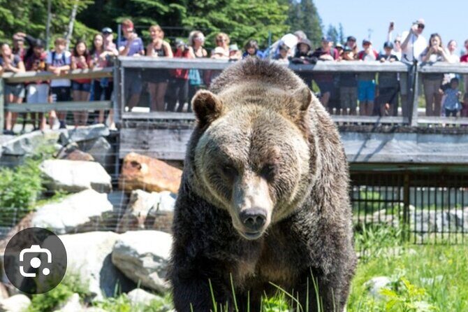 Private Transportation to Capilano Suspension Bridge Park - Final Thoughts