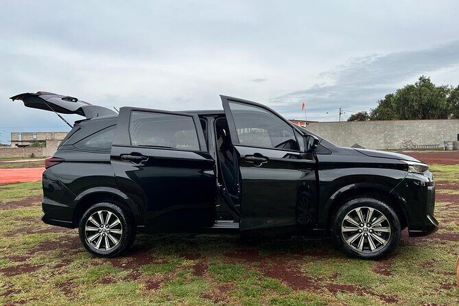 Private Transportation to Teotihuacan from CDMX - Itinerary and Flexibility