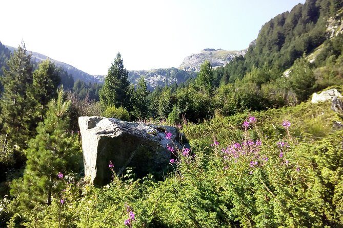 Private Trekking in Rila Mountains and Mt Mousala from Sofia - Transport and Logistics