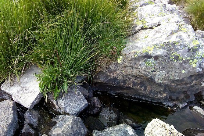 Private Trekking in Rila Mountains and Mt Mousala from Sofia - Cost and Value