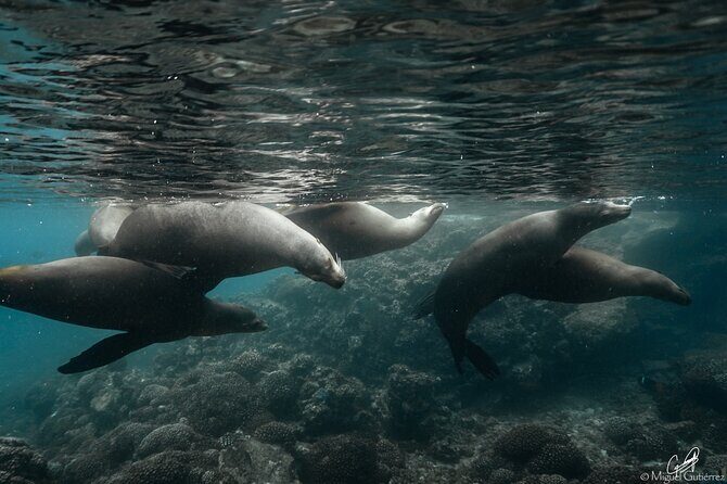 Private Trip Espiritu Santo Island - Who Will Love This Tour?