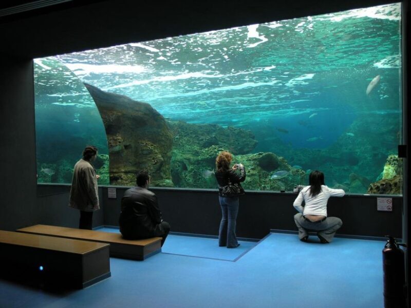 Private Trip From Rethymno to Dinosauria Park & Cretaquarium - FAQ